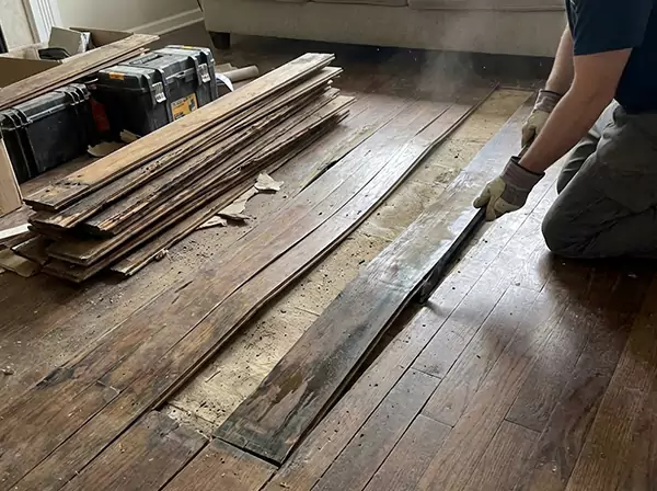 Water Damage Drying in Mineral Bluff