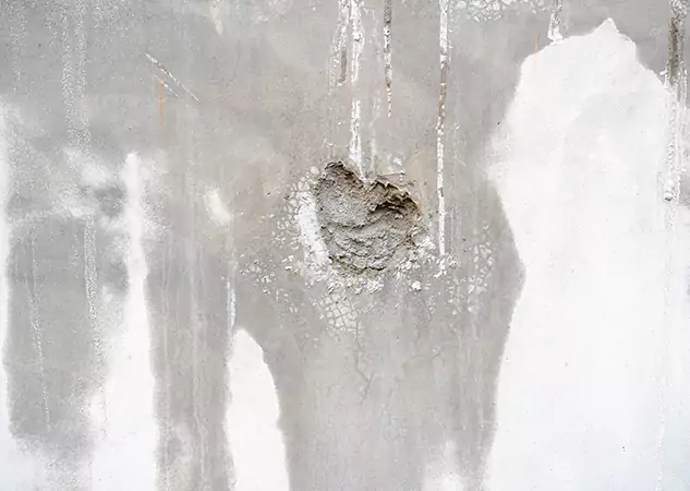 Your Mold Mitigation Solutions Partner in Mineral Bluff, GA
