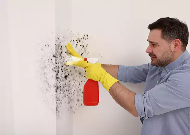 Your Water Mold Fire Restoration Partner in Mineral Bluff, GA