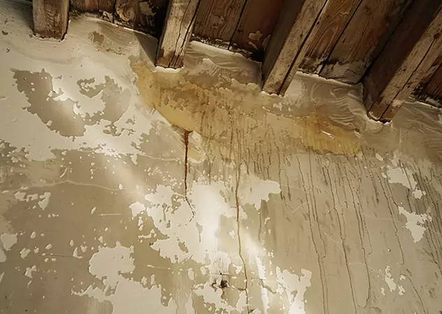 Your Trusted Restoration Company in Mineral Bluff, GA