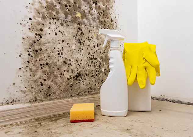 Your Reliable Restoration Company in Mineral Bluff, GA