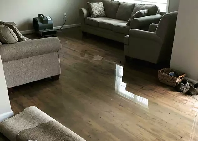 Your Trusted Restoration Company in Mineral Bluff, GA