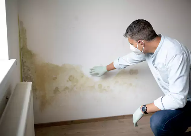 Reach Our Remediation Team Before Damage Grows in Mineral Bluff, GA!