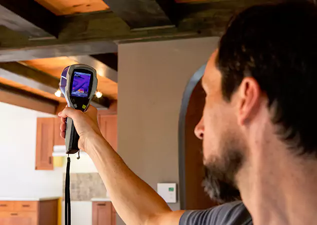 Trusted Water Damage Evaluation: Your Certified Partner in Mineral Bluff, GA