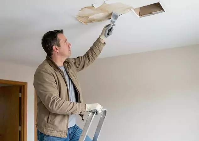 Your Ceiling Damage Repair Experts in Mineral Bluff, GA