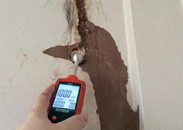 Your Water Damage Assessment Partner in Mineral Bluff, GA