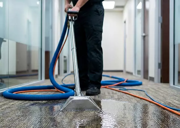 Your Water Damaged Carpet Restoration Partner in Mineral Bluff, GA