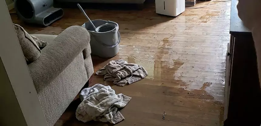Professional Basement Water Remediation Services in Mineral Bluff, GA
