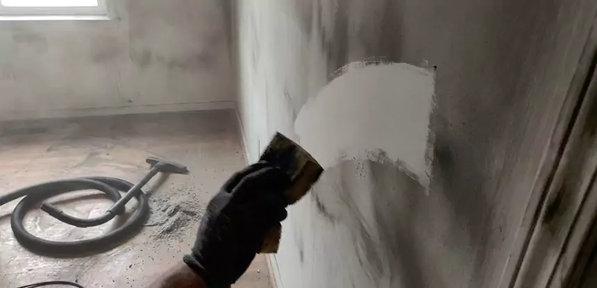 Professional Water and Fire Damage Restoration Services in Mineral Bluff, GA