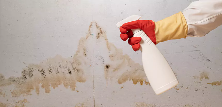 Fire Water Mold Restoration