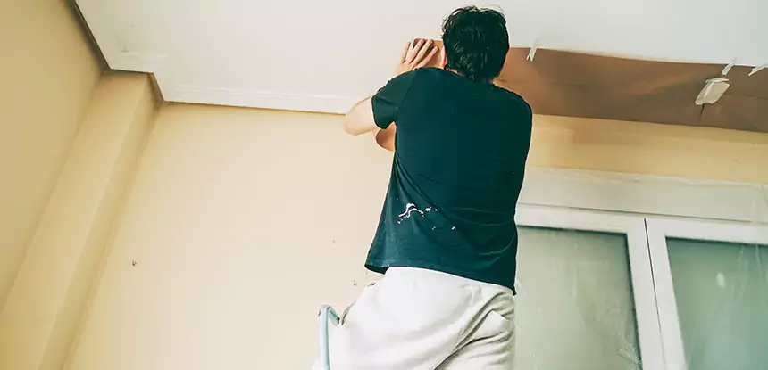 Ceiling Water Damage Repair in Mineral Bluff