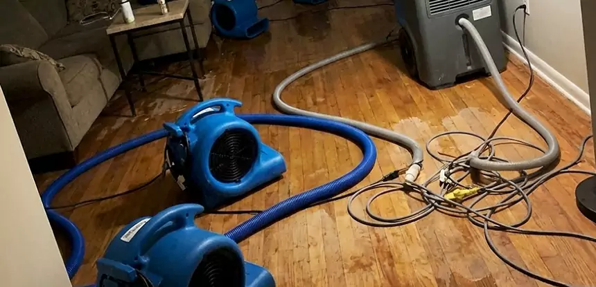 Basement Flood Restoration Services in Mineral Bluff