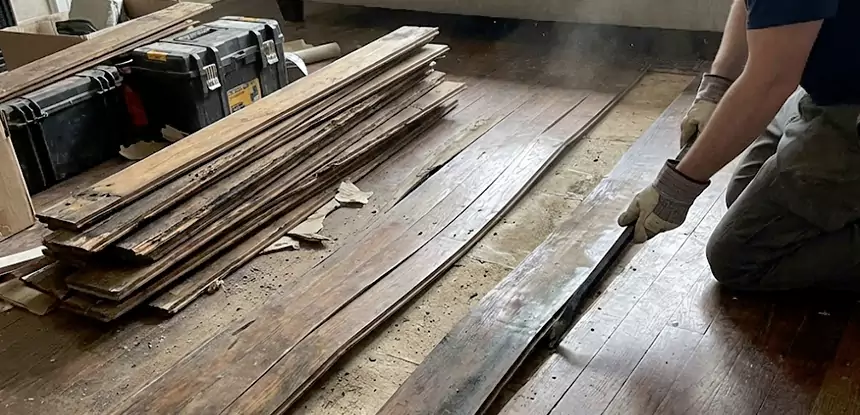 Wood Rot and Fungus Repair in Mineral Bluff