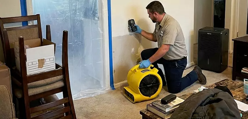 Carpet Water Damage Repair Mineral Bluff