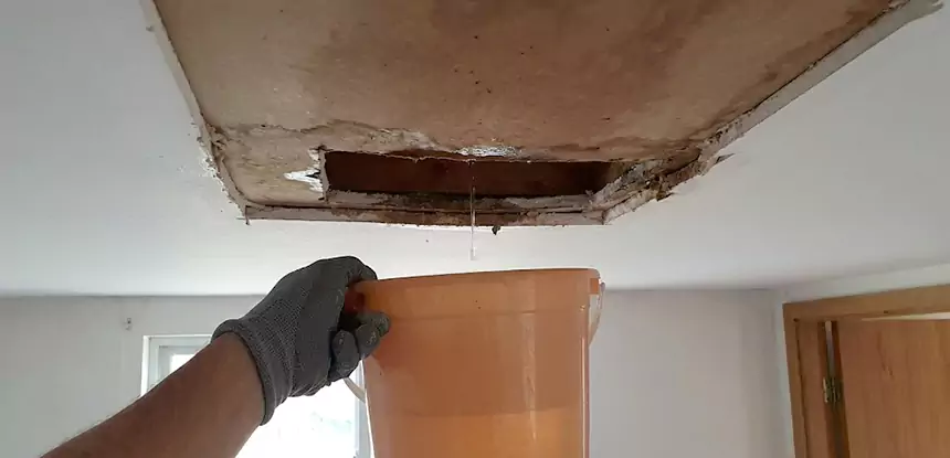 Ceiling Mold Repair Mineral Bluff