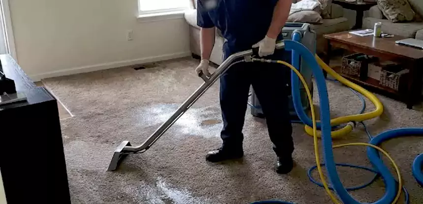 Wet Carpet Mold Treatment in Mineral Bluff