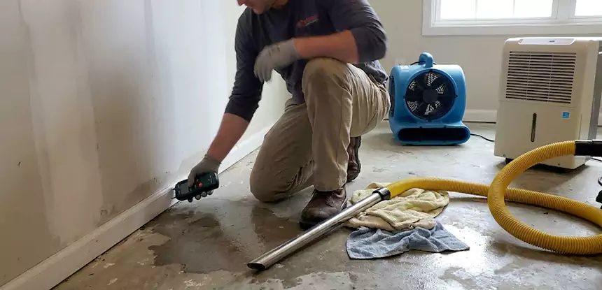 Professional Water Damage Floor Repair Services in Mineral Bluff, GA