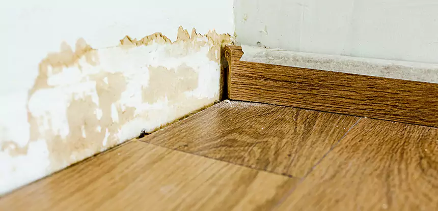 Professional Fix Water Damaged Wood Services in Mineral Bluff, GA