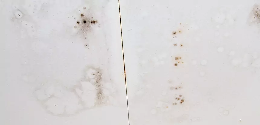 Professional Water Stain Repair Services in Mineral Bluff, GA