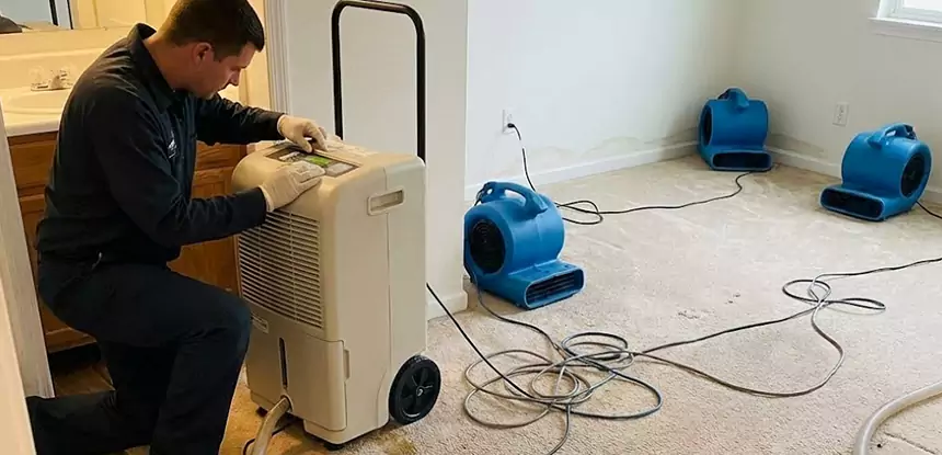 Professional Wet Carpet Removal Services in Mineral Bluff, GA