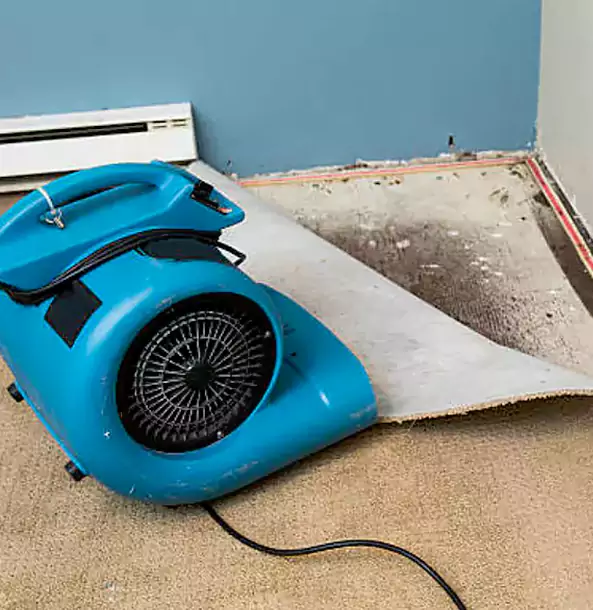 Why Mineral Bluff Trusts Mineral Bluff Restoration Pro for Carpet Flood Recovery?
