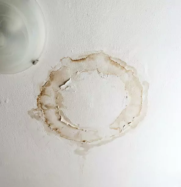 Why Mineral Bluff Property Owners Choose Mineral Bluff Restoration Pro for Ceiling Water Damage Restoration?