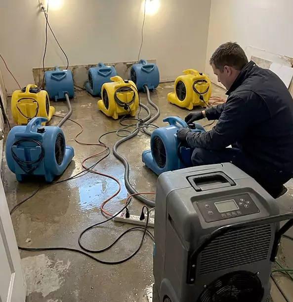 Why Mineral Bluff Businesses Trust Mineral Bluff Restoration Pro for Water Damage Response?
