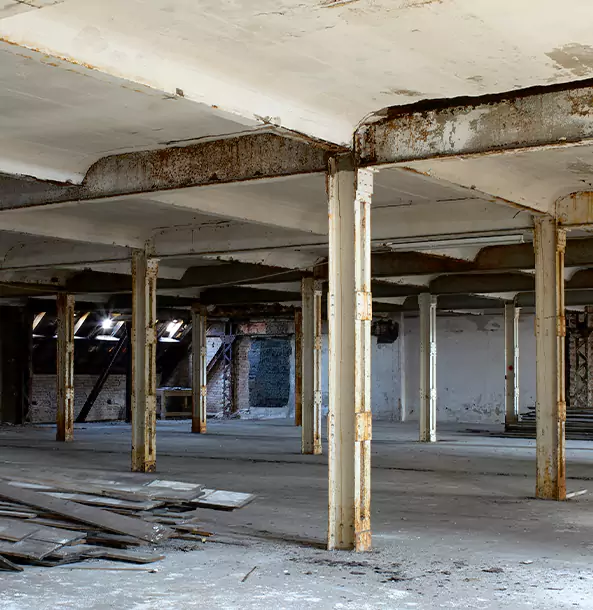 What Makes Our Crawl Space Services Stand Out in Mineral Bluff, GA?