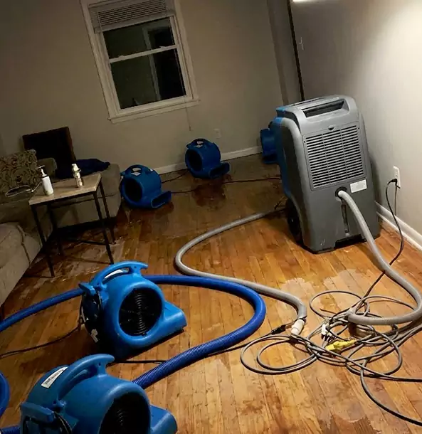 Why Mineral Bluff Calls Mineral Bluff Restoration Pro First for Emergency Restoration?