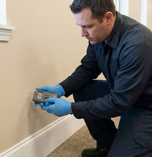 Why Mineral Bluff Property Owners Trust Mineral Bluff Restoration Pro for Leak Detection?