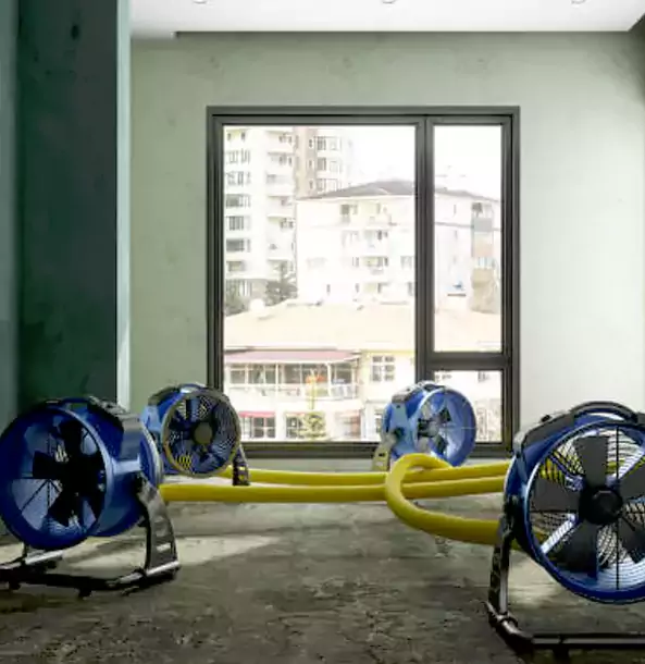 Why Mineral Bluff Property Owners Trust Mineral Bluff Restoration Pro for Water Damage Drying?