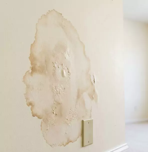 Why Mineral Bluff Homeowners Trust Mineral Bluff Restoration Pro for Drywall Restoration?