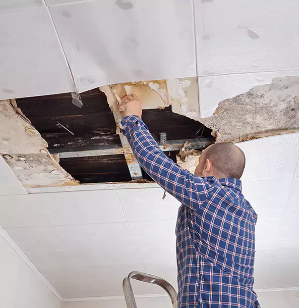 Why Mineral Bluff Property Owners Choose Mineral Bluff Restoration Pro for Reconstruction?