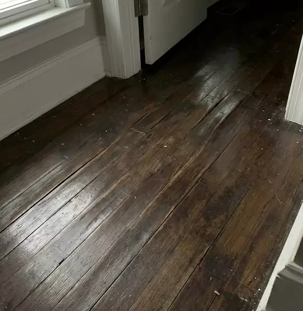 Why Mineral Bluff Homeowners Trust Mineral Bluff Restoration Pro to Fix Water Damaged Wood?