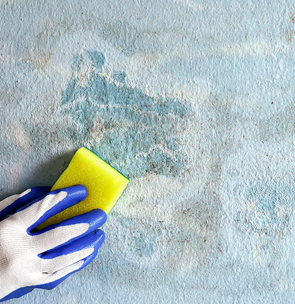 Why Mineral Bluff Restoration Pro Is the Right Choice in Mineral Bluff, GA?