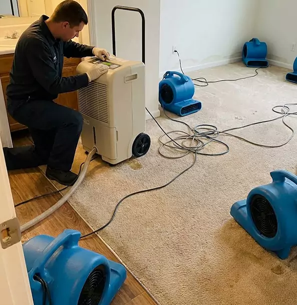 Why Mineral Bluff Homeowners and Businesses Trust Mineral Bluff Restoration Pro for Carpet Drying?
