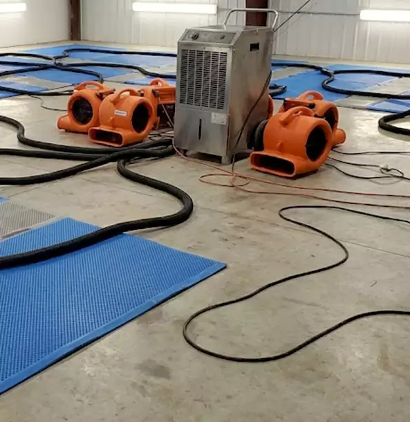 Why Mineral Bluff Homeowners and Businesses Choose Mineral Bluff Restoration Pro for Wet Carpet Removal?