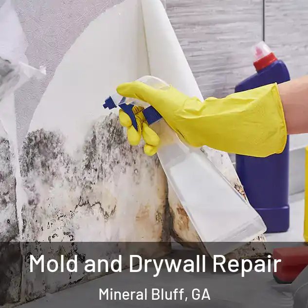  Mold and Drywall Repair Mineral Bluff, GA