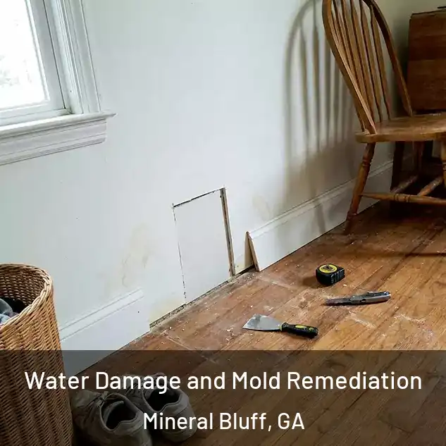  Water Damage and Mold Remediation Mineral Bluff, GA