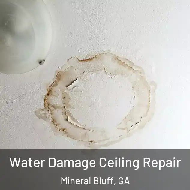  Water Damage Ceiling Repair Mineral Bluff, GA
