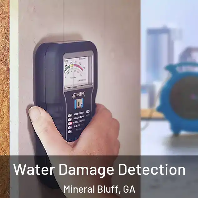  Water Damage Detection Mineral Bluff, GA