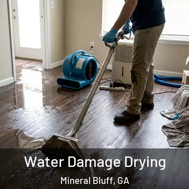  Water Damage Drying Mineral Bluff, GA