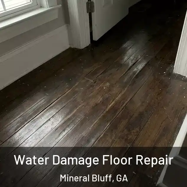  Water Damage Floor Repair Mineral Bluff, GA