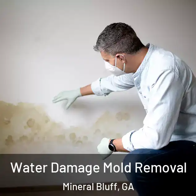  Water Damage Mold Removal Mineral Bluff, GA
