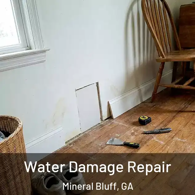  Water Damage Repair Mineral Bluff, GA