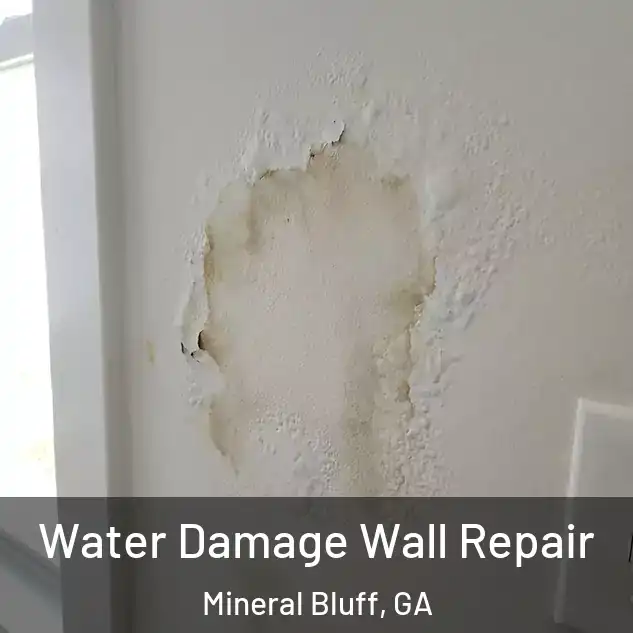  Water Damage Wall Repair Mineral Bluff, GA