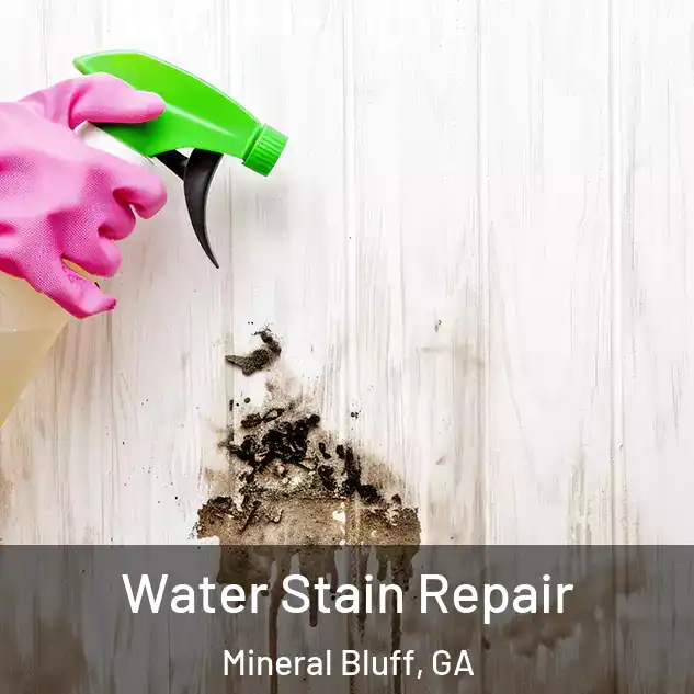  Water Stain Repair Mineral Bluff, GA