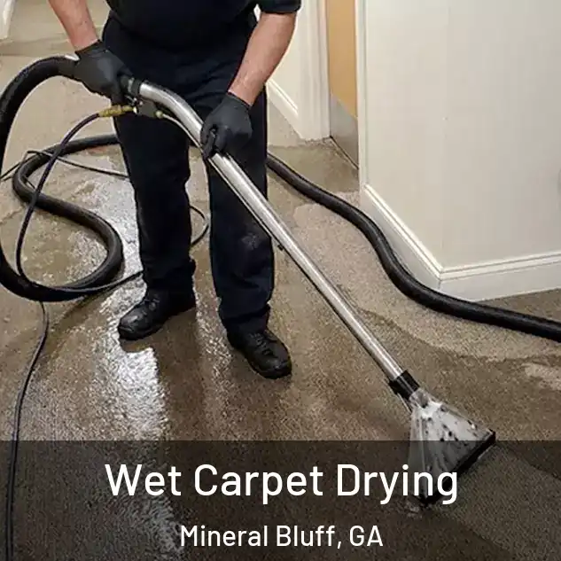  Wet Carpet Drying Mineral Bluff, GA